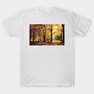 Deer in Autumn Forest T-Shirt